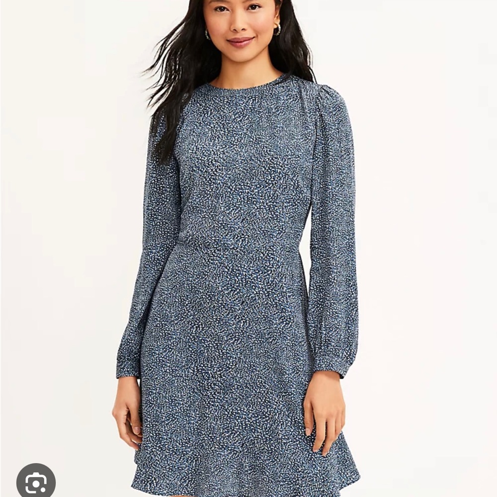 Loft Cheetah Print Long Sleeve Ruffle Dress